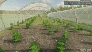 FS22 Placeable Mod: MSC Greenhouse Beta (Image #2)