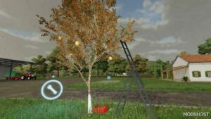 FS22 Placeable Mod: Apple Tree Beta (Image #3)