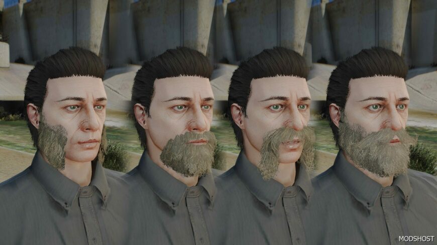 GTA 5 Real Beards for MP Male mod