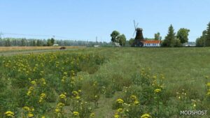 ETS2 Weather Mod: NEW Summer V5.6 1.50 (Featured)