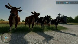 FS22 Mod: Placeable COW (Image #2)