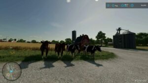 FS22 Mod: Placeable COW (Image #3)