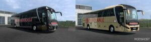 ETS2 MAN Skin Mod: 2023 MAN Lion’s Coach Pamukkale Pack (Image #2)