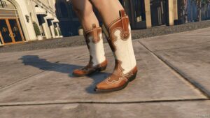GTA 5 Player Mod: Alice Shoes for MP Female