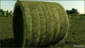 FS22 Mod: 125CM String Bales V1.1 (Featured)