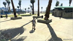 GTA 5 Script Mod: Usable Roller Blades and ICE Skates (Image #3)