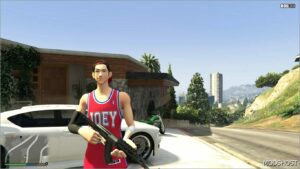 GTA 5 Player Mod: 3ON3 Freestyle: Rebound Joey (Image #3)