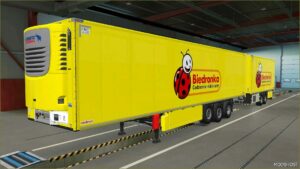 ETS2 Schmitz Mod: Skin Biedronka Schmitz Cargobull S.KO Cool 31 07 2024 1.50 (Image #19)