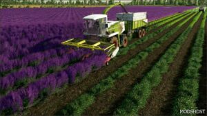 FS22 Claas Mod: Lavender Header BAR (Featured)