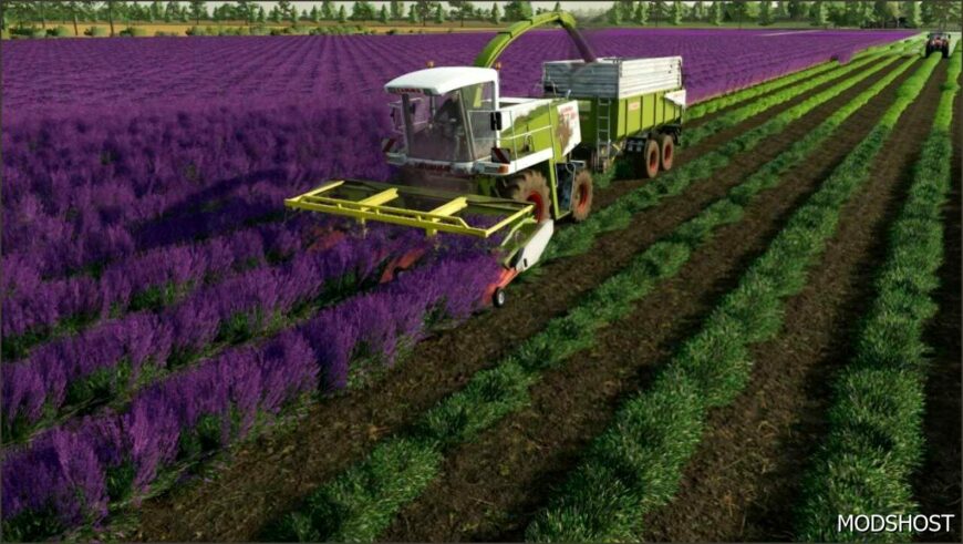 FS22 Claas Mod: Lavender Header BAR (Featured)