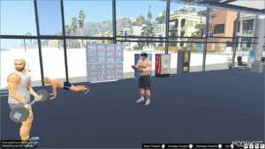 GTA 5 Map Mod: Vespucci Beach GYM Menyoo (Featured)