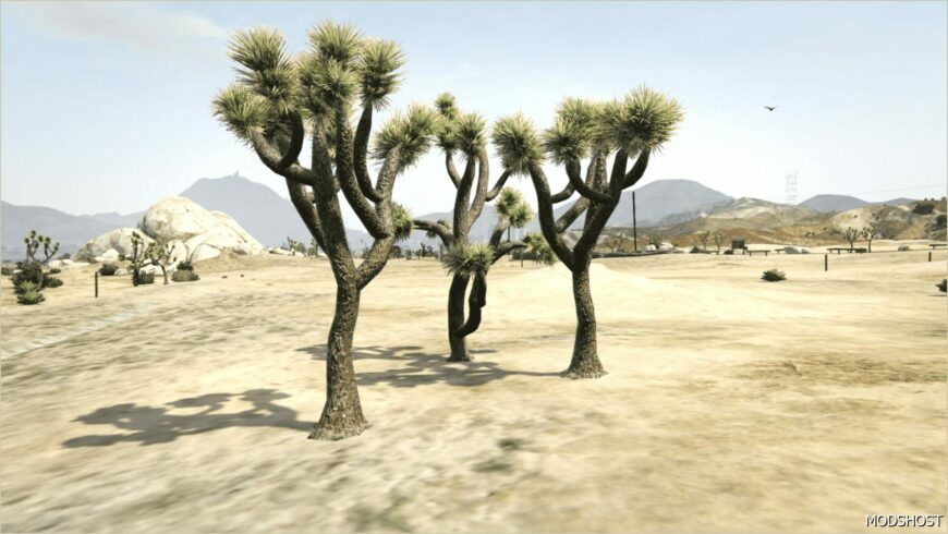 GTA 5 Map Mod: OLD GEN Desert Vegetation (Featured)