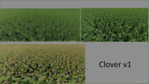 FS22 Textures Mod: Clover and Alfalfa Texture V1.0.0.1 (Image #2)