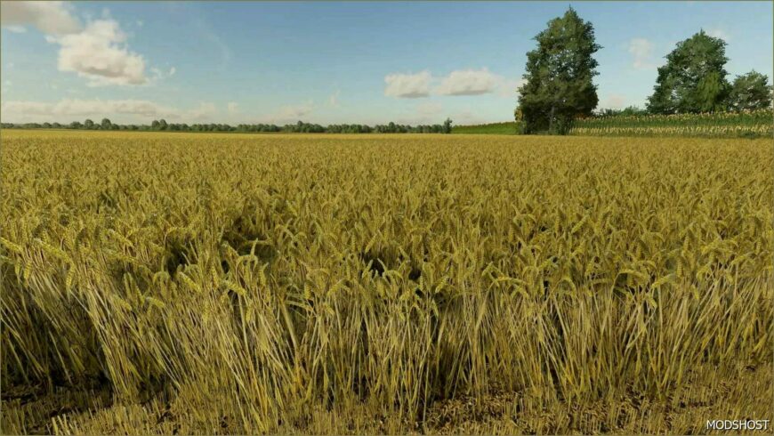 FS22 Textures Mod: Wheat Texture (Featured)