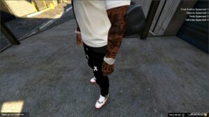 GTA 5 Player Mod: VVS Wrist (Bussin) (Image #4)