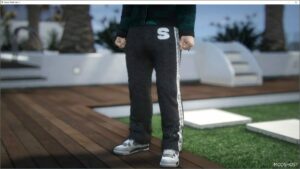 GTA 5 Player Mod: Skvlvne FUR Pants for MP Male V0.0.1 (Image #2)