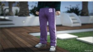 GTA 5 Player Mod: Skvlvne FUR Pants for MP Male V0.0.1 (Image #3)