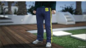 GTA 5 Player Mod: Skvlvne FUR Pants for MP Male V0.0.1 (Image #4)