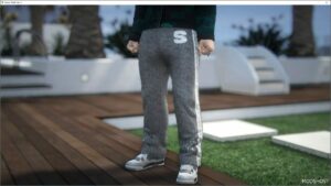 GTA 5 Player Mod: Skvlvne FUR Pants for MP Male V0.0.1 (Image #5)