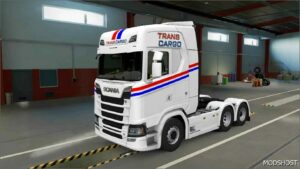 ETS2 Mod: Trans Cargo Skin Pack V0.1 (Image #4)