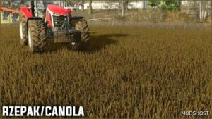 FS25 Mod: Pressed Stubble (Featured)