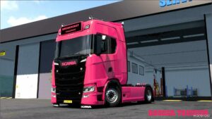 ETS2 Mod: A. J. Bronkhorst Transport Skin Pack (Image #2)