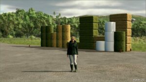 FS25 Baling Mod: Bale Storage (Image #2)