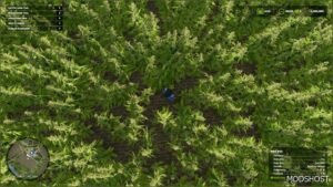 FS25 Map Mod: Riverbend Springs - Cannabis Edition V1.1 (Image #4)